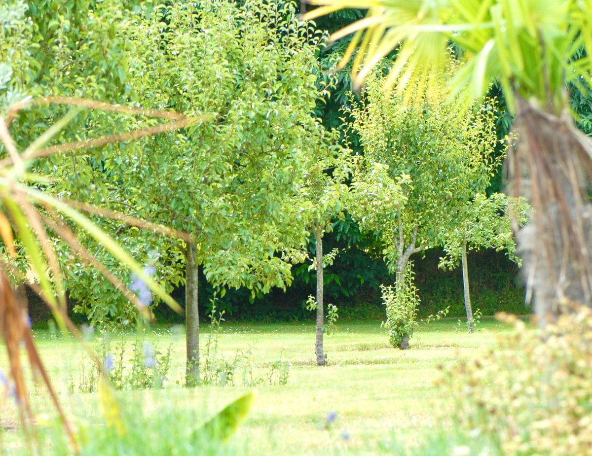 Photo du jardin du Domaine de Kermodest